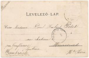 1895 (Vorläufer) Koritnyica, Korytnica; Handowski, Steiner & Frank No. 907. Art Nouveau, floral,...