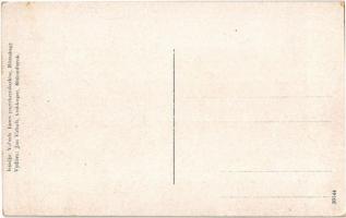 Rózsahegy, Ruzomberok; Híd utca, reklámplakátok (Rózsafüred gyógyfürdő, Haas Rudolf, Vámos Sámuel és...