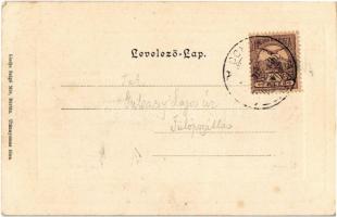 1901 Bártfafürdő, Bardejovské Kúpele, Bardiov; Felső úri utca. Salgó Mór kiadása / street view with ...