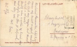 1915 Tőketerebes, Trebisov; Gróf Andrássy kastély és park. Halász Sándor fényképészeti műterméből / ...