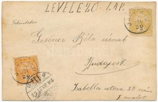 1904 Vajdahunyad, Hunedoara; vár. Montázs kutyával és békákkal / castle. Montage with dogs and frogs...