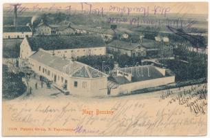 1900 Nagybossány, Velké Bosany (Bossány); bőrgyár. Platzko Gyula kiadása / leather factory  (EK)