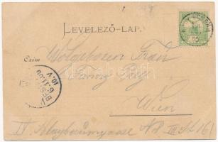 1900 Nagybossány, Velké Bosany (Bossány); bőrgyár. Platzko Gyula kiadása / leather factory  (EK)