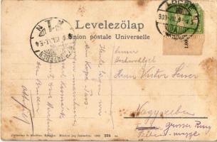 1909 Tátra, Magas-Tátra, Vysoké Tatry; Nagy-Tarpataki-völgy a Nagyszalóki-csúccsal. Cattarino S. kia...