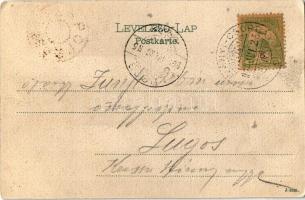 1904 Tátra, Magas-Tátra, Vysoké Tatry; Poprádi-tó az Omladék-völggyel. Kunstverlag v. F. Pietschmann...