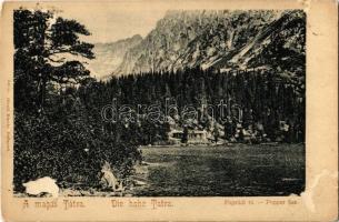 Tátra, Magas-Tátra, Vysoké Tatry; Poprádi-tó. Divald Károly 649. sz. / Popradské pleso / Popper-See / lake, High Tatras (EK)