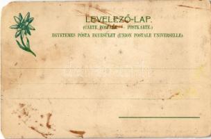 Tátra, Magas-Tátra, Vysoké Tatry; Felkai-tó a sziléziai ház felé. Feitzinger Ede 766. / Felker-See g...