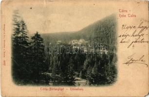 Barlangliget, Höhlenhain, Tatranská Kotlina (Tátra, Magas-Tátra, Vysoké Tatry); látkép / general view (EM)
