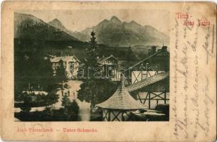 1905 Alsótátrafüred, Alsó-Tátrafüred, Unter-Schmecks, Dolny Smokovec (Magas-Tátra, Vysoké Tatry); látkép, szálloda / general view, hotel (kopott sarkak / worn corners)