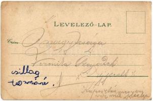 1906 Dévény, Theben a. d. Donau, Devín (Pozsony, Bratislava);   vár, Árpád emlékmű / Devínsky hrad /...