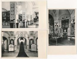 Budapest XIV. M. kir. Mezőgazdasági Múzeum, belső (lótenyésztési, szarvasmarha tenyésztési, gyümölcs...