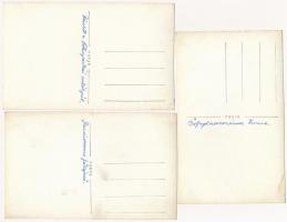 Budapest XIV. M. kir. Mezőgazdasági Múzeum, belső (lótenyésztési, szarvasmarha tenyésztési, gyümölcs...