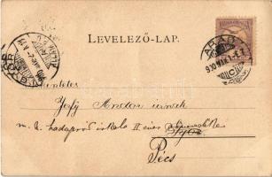 1900 Arad, vaggongyár belseje (Gép waggongyár). Kerpel Izsó kiadása  / wagon factory