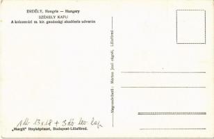 Kolozsvár, Cluj; Székely kapu a m. kir. gazdasági akadémia udvarán / Transylvanian wood carved gate