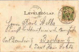 1903 Trencsénteplic, Trencianske Teplice; Felső-Magyarországi tót népviselet, pipázó férfi. Wertheim...