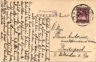 Trencsénteplic, Trencianske Teplice; fürdő látképe. Wertheim Zsigmond kiadása / Bad Trencsén-Teplicz...