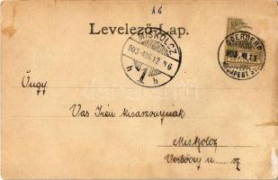 1903 Zólyom, Zvolen; vasgyár. Holub Ágoston kiadása / iron works, factory (szakadás / tear)