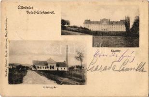 1903 Felsőelefánt, Oberelefant, Horné Lefantovce; Báró Edelsheim-Gyulay Lipót kastélya, Szeszgyár. Elvira / castle, distillery (spirit factory) (EK)