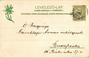 Gölnicbánya, Göllnitz, Gelnica; bányaváros délnyugat felé. Feitzinger Ede 730. Ps. 1904-14. (EK)