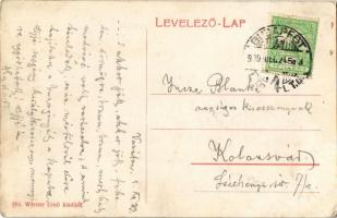 1909 Losonc, Lucenec; Kubinyi tér, Tarjányi, Gandl Samu, Halmos, Brull M. üzlete. Werner Ernő 683.  ...