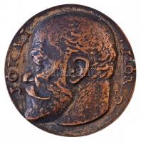 1904. "Jókai Mór / 1825-1904" kétoldalas Br emlékérem, hátlapon Pegazus ábrázolás. Szign.: LJ (51mm) T:2-