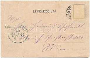 1903 Pöstyén, Piestany; Nagy-pöstyéni utca. Julius Lampl kiadása / street. Art Nouveau (kicsit ázott...
