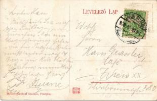 1910 Pöstyén, Piestany; Erzsébet út, Reiszmann Adolf. Meteor fényirda kiadása / street, shop