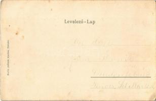 Zsolna, Sillein, Zilina; út, fűrésztelep, templom. Biel és Jellinek kiadása / street, sawmill, churc...