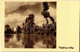 Nagybánya, Baia Mare; látkép. Frankovits kiadása / general view - képeslapfüzetből / from postcard booklet