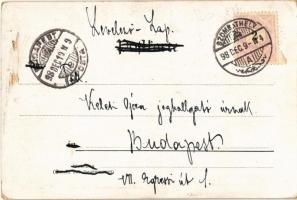 1898 Osterhase / Easter Bunny. Gustav Liersch & Co. (Rb)