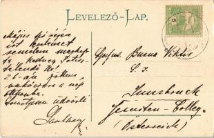 Bárdibükk, Bárdudvarnok; Goszthony kastély