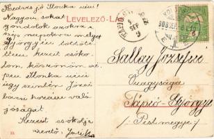 1908 Kolozsvár, Cluj; Sétatéri részlet, szökőkút és pavilon / promenade, fountain, pavivlion