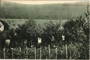 1906 Lónyabánya, Lovinobana; gyümölcsöskert. Özv. Szőllősiné kiadása / orchard (Rb)