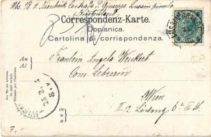 1903 Veli Losinj, Lussingrande; (EK)