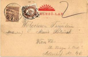 1901 Budapest I. Királyi várbazár és vár a pesti rakpartról nézve