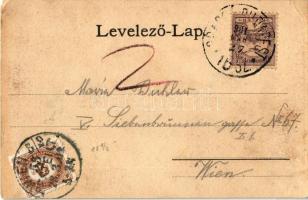 1901 Piski, Simeria; MÁV műhely, gyár este. Főző József kiadása / repair workshop of the Hungarian S...