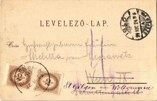 1899 Igló, Zipser Neudorf, Spisská Nová Ves; főgimnázium, városház, állami tanítóképezde, Városi tor...