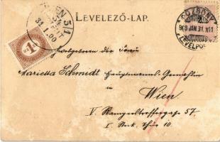 1900 Pozsony, Pressburg, Bratislava; Újtelepi villák. Körper Károly kiadása / Neu-Stift / villas (fe...