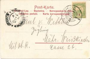 1903 Rückkehr Sr. Majestät v.d. Inspicierung / Franz Joseph returning from the K.u.K. (Austro-Hungar...