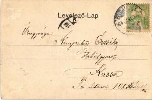 1904 Keszthely, Festetits palota. Vasvári József kiadása Art Nouveau (Rb)