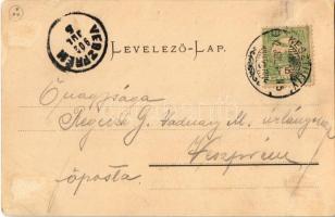 1902 Keszthely, Festetics György szobrának leleplezése. Mérei Ignácz kiadása 1902. 124. (r)