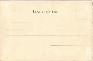 Balatonfüred, Fürdőház és gőzhajó. Bruchsteiner és fia, litho / Maison de Bain (Rb)