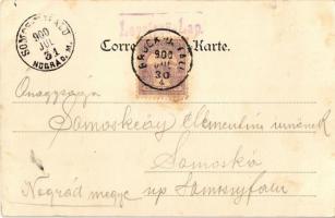 1900 Lajtabruck, Bruck and der Leitha; Lokal Bahnhof / vasútállomás / railway station. H. Effenberge...