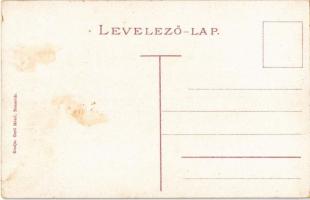 Temesvár, Timisoara; Gyárváros, Új híd, villamos. Gerő Manó kiadása / Fabrik, Neue Brücke / Fabrica,...