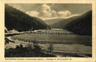 Resicabánya, Resita; Farakodó a kemenceszéki-völgyben / Holzlager im Kemenceszéker Tal / timberyard in the valley