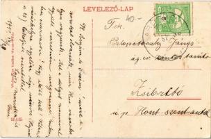 1910 Maroshévíz, Toplita; Bánffy fürdői vízesés. Kiadja Walter Ede / waterfall (EK)