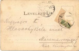 1903 Sebesvár, Bologa (Csucsa); várrom. Dunky fivérek / castle ruins (EB)