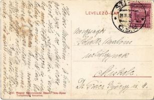 Csetnek, Stítnik; Szontagh Andor kertje / garden (fl)