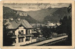 1906 Tusnád-fürdő, Baile Tusnad; Temesváry és Práger villa / villas (EK)