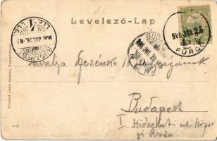 1906 Tusnád-fürdő, Baile Tusnad; Temesváry és Práger villa / villas (EK)